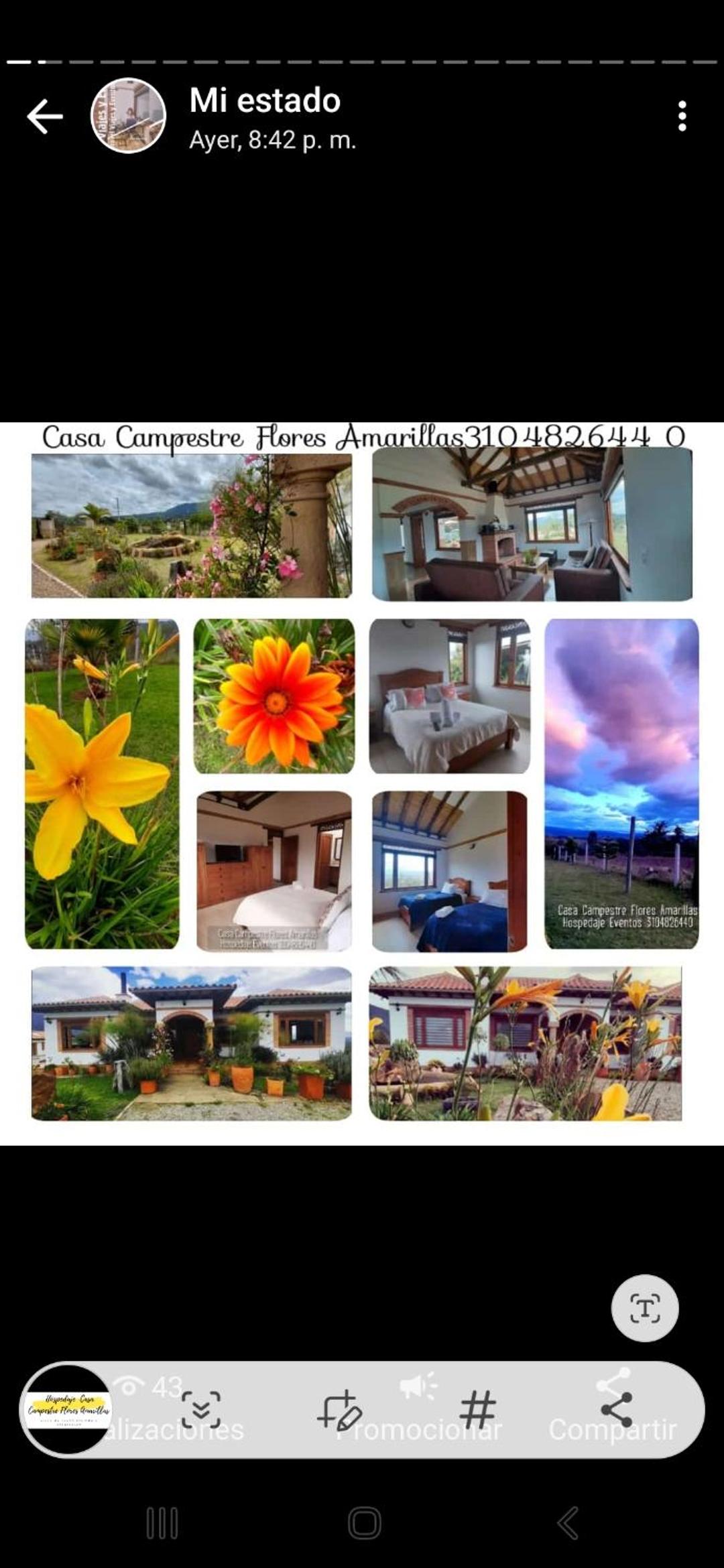 Home Boutique Flores Amarillas