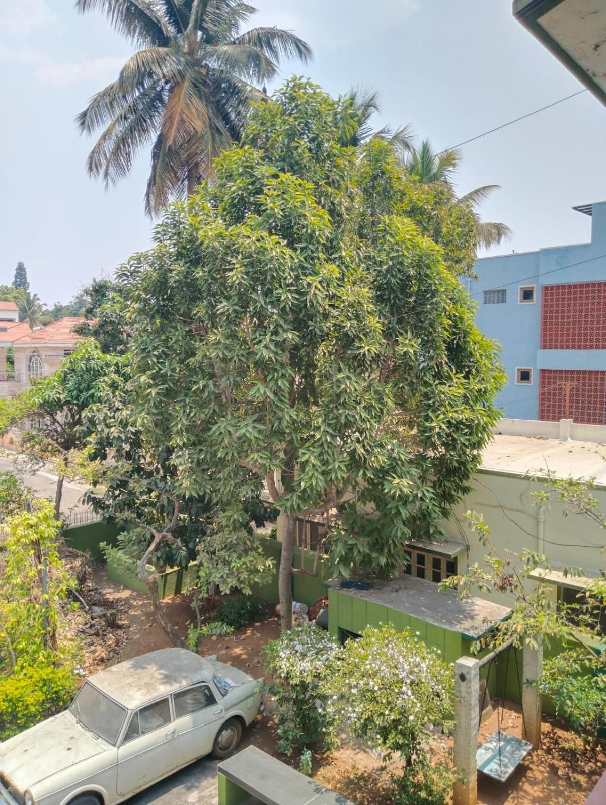 Shanthi House