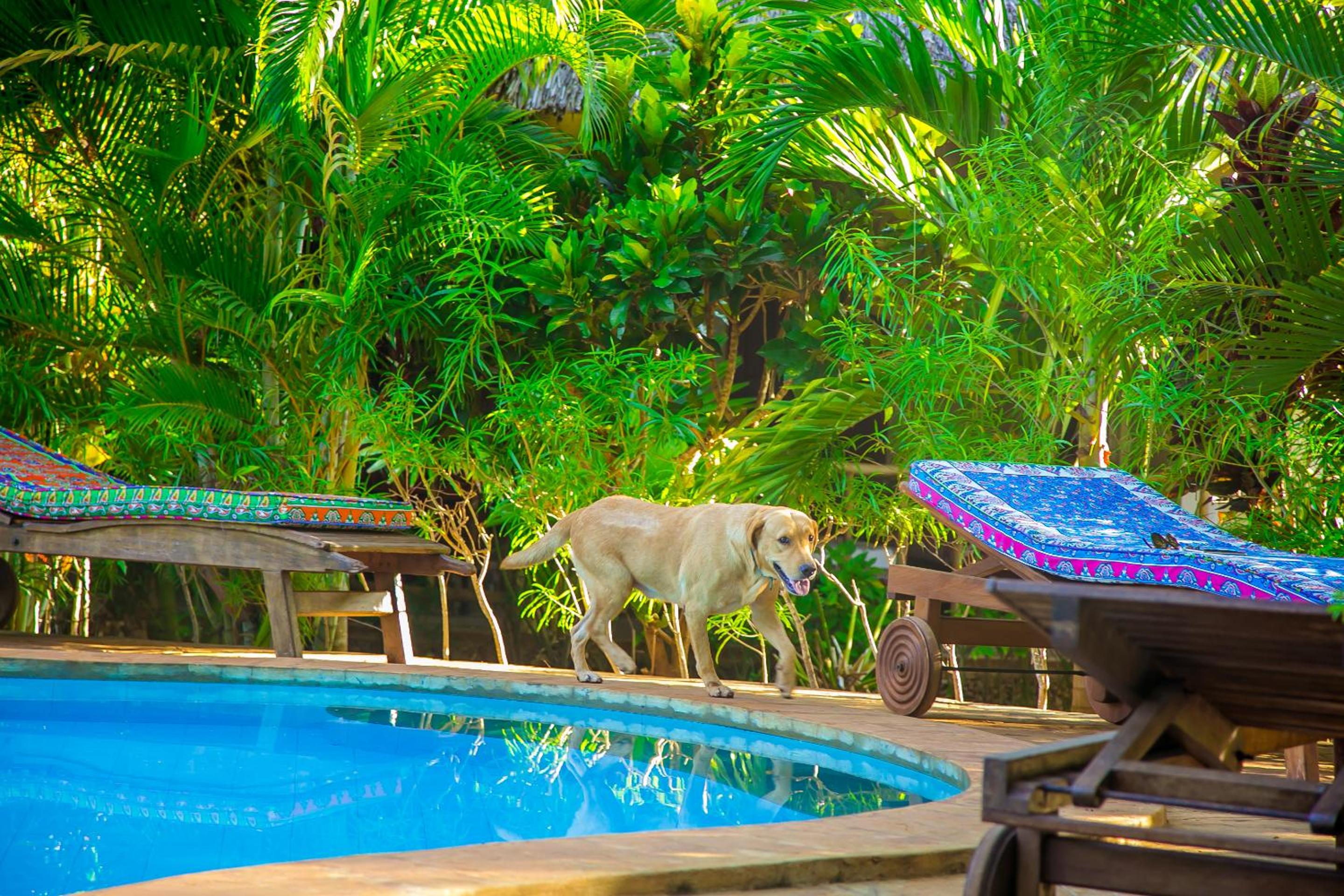 Kwetu Villa Cottages