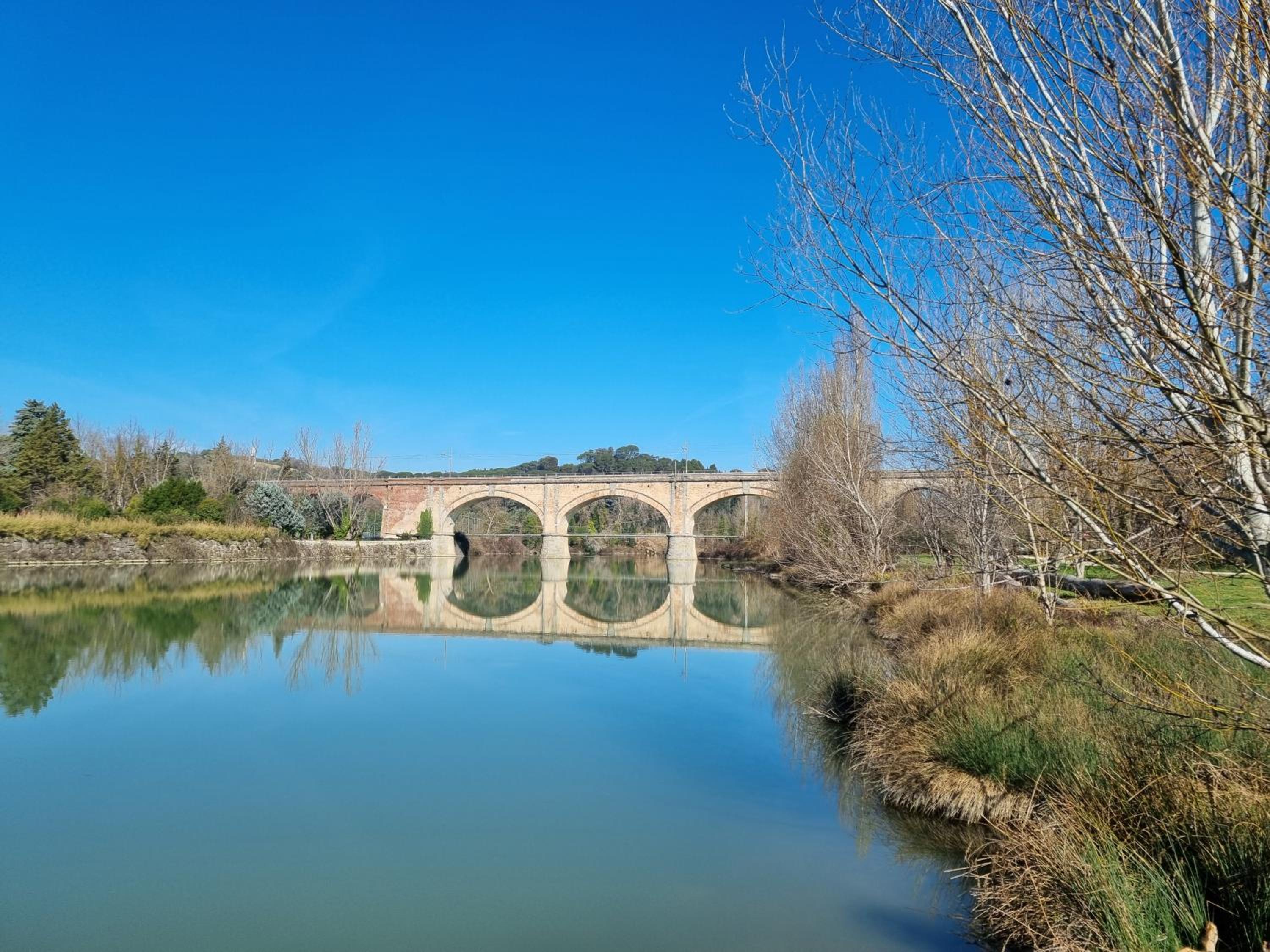 A due passi dal Parco view 5