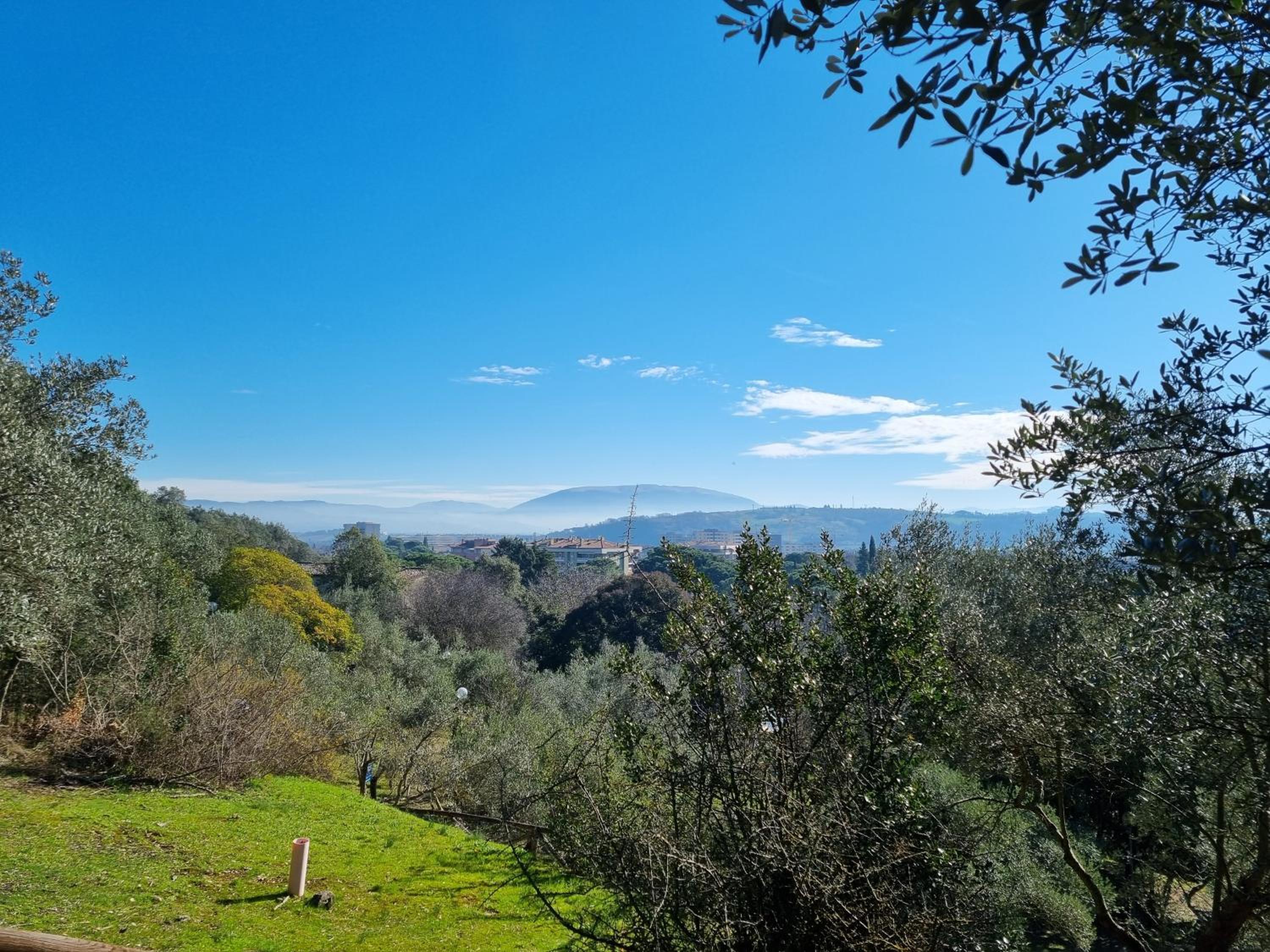 A due passi dal Parco view 4