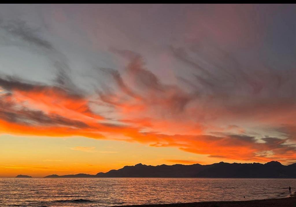 CASAMMARE