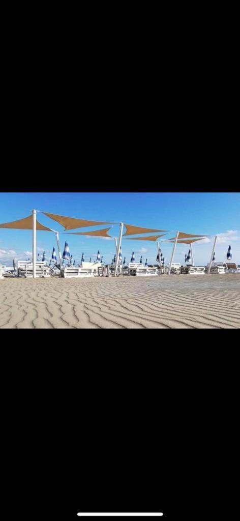 CASAMMARE