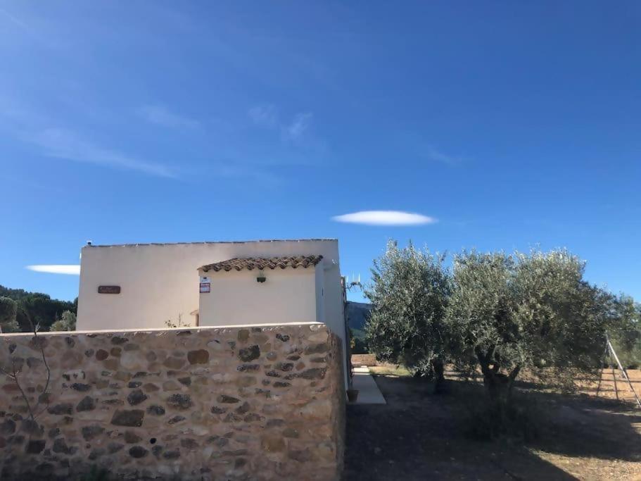 Casita rural entre olivos