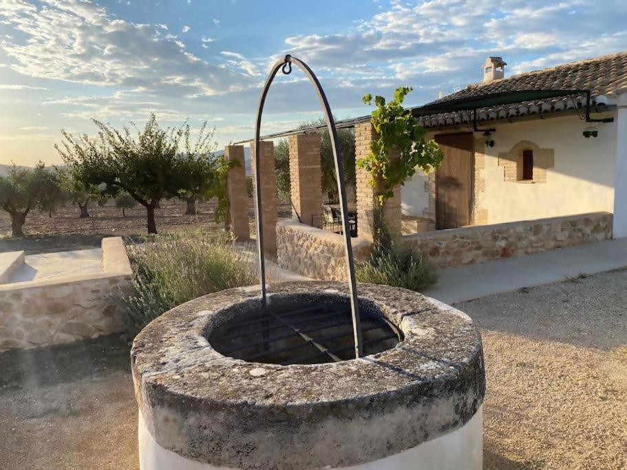 Casita rural entre olivos