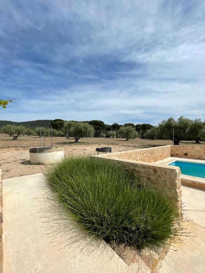Casita rural entre olivos