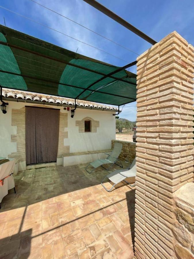 Casita rural entre olivos