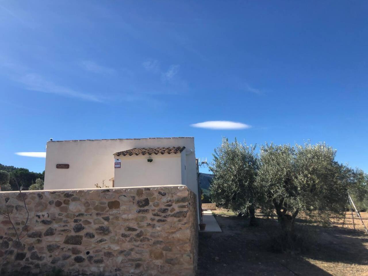 Casita rural entre olivos
