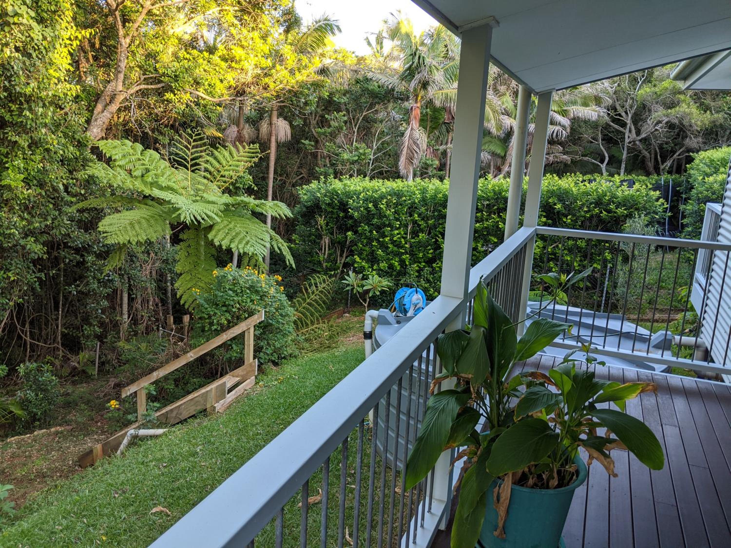 Rainforest Cottage