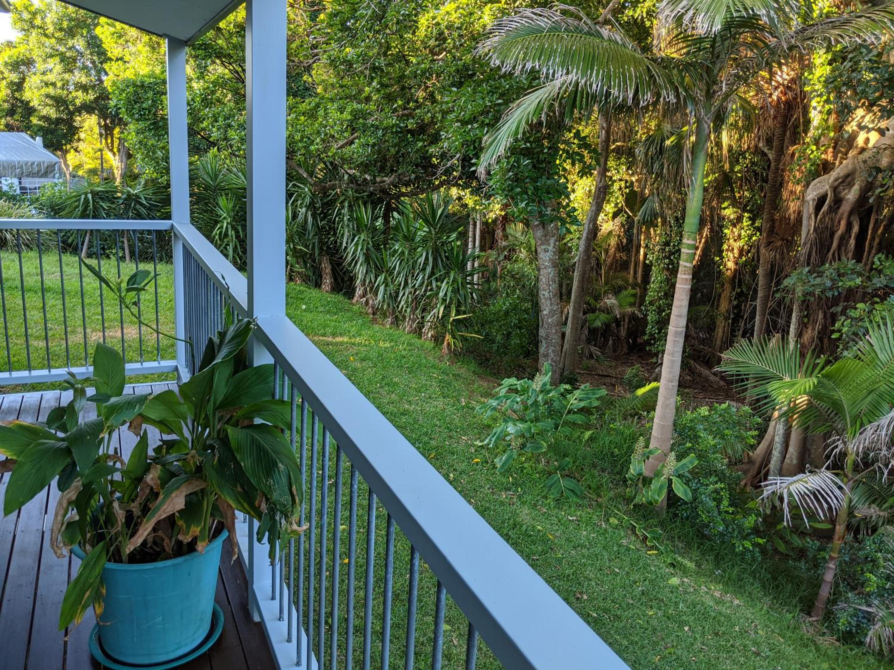 Rainforest Cottage