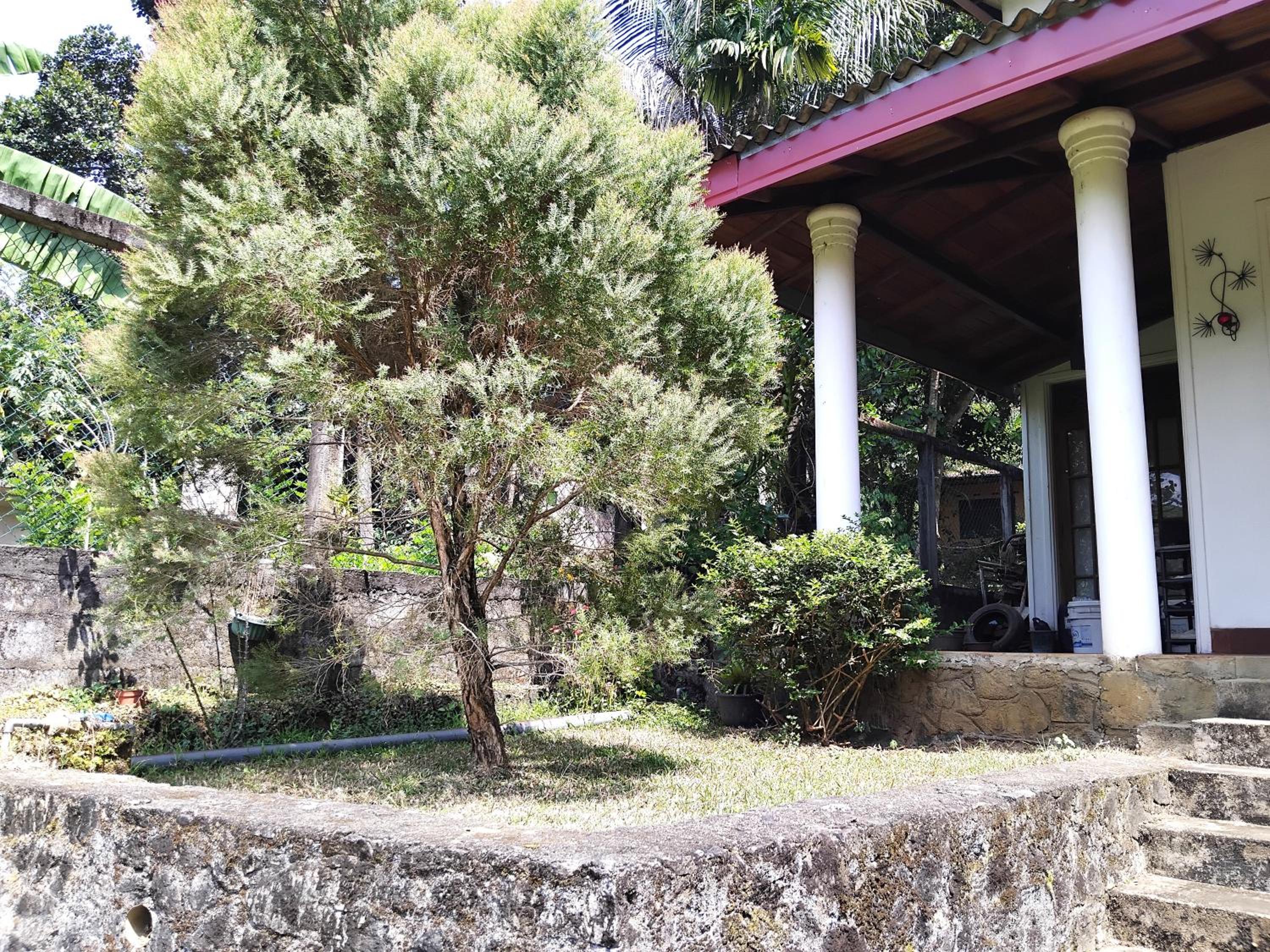 Kandy Wellington Home