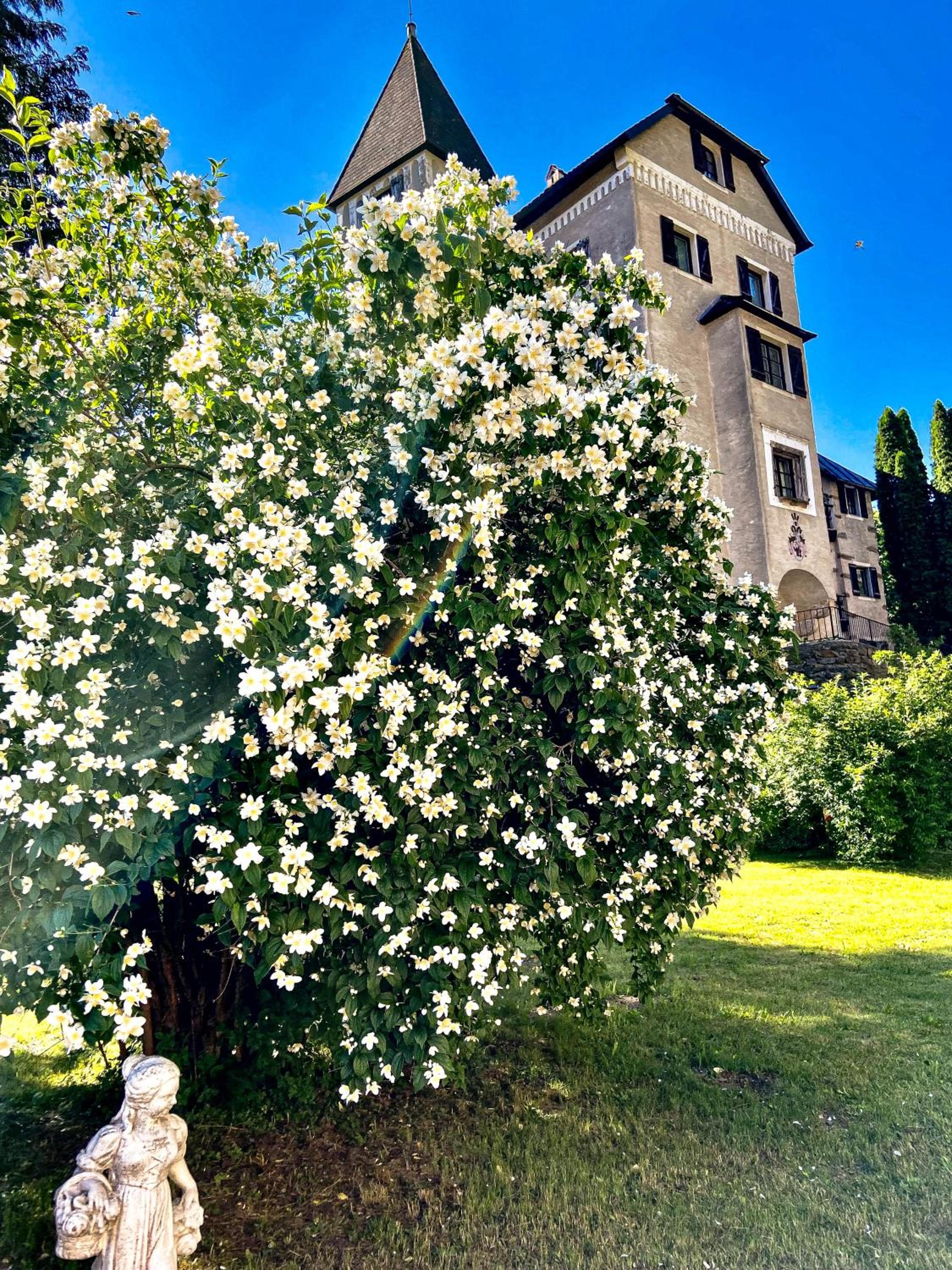 Schloss Süßenstein