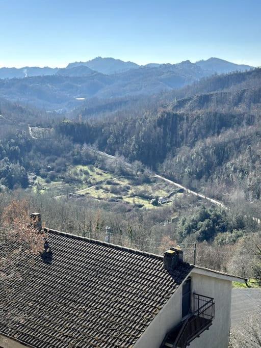 Nature Lover view 3