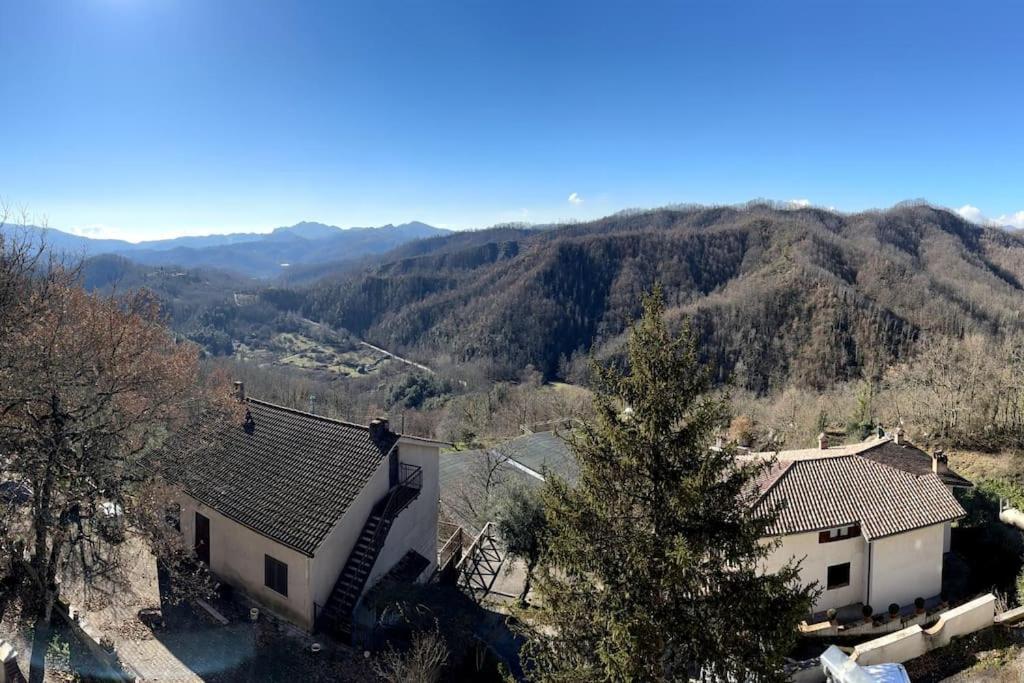 Nature Lover view 5