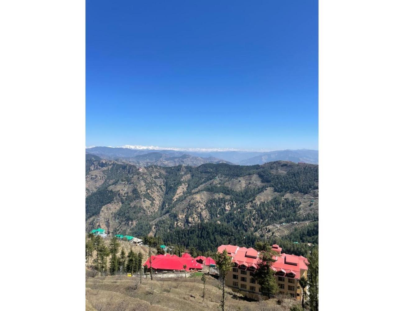 Snowfalls Homestay,New Kufri,Shimla - main view