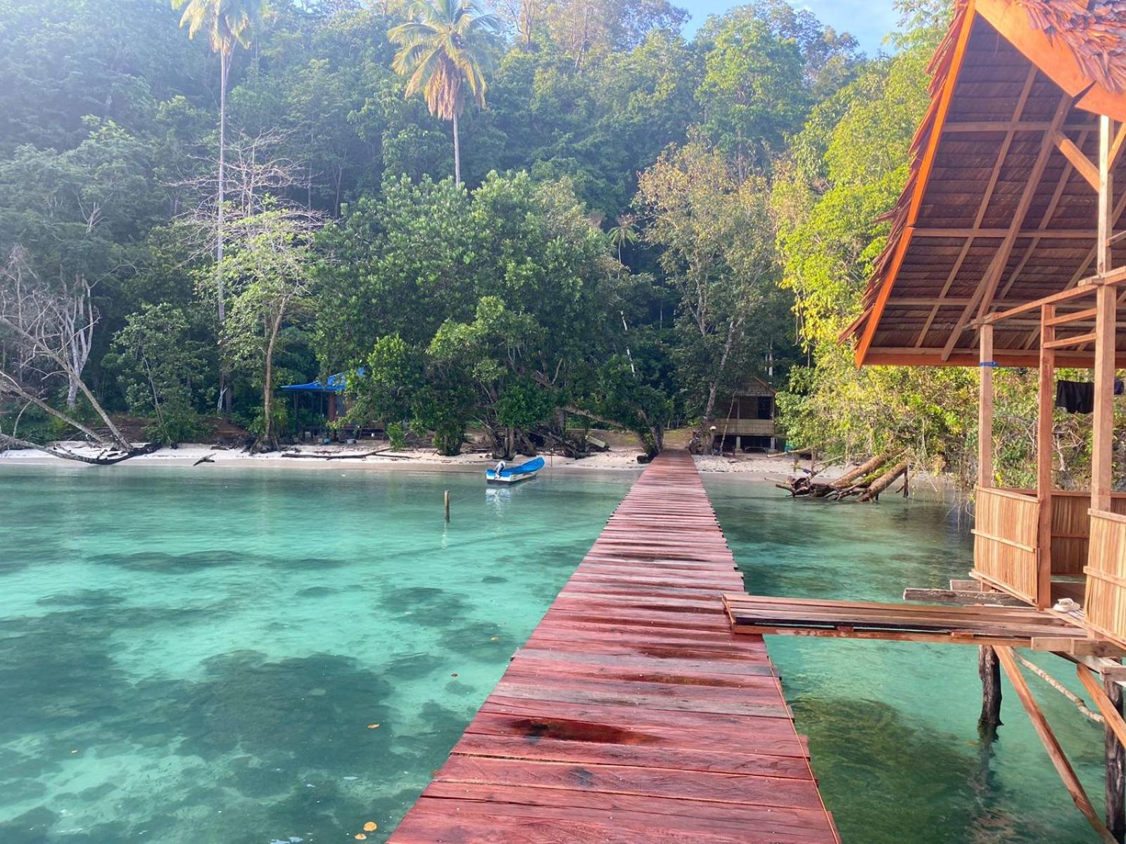 I&D Home Stay Raja Ampat view 5