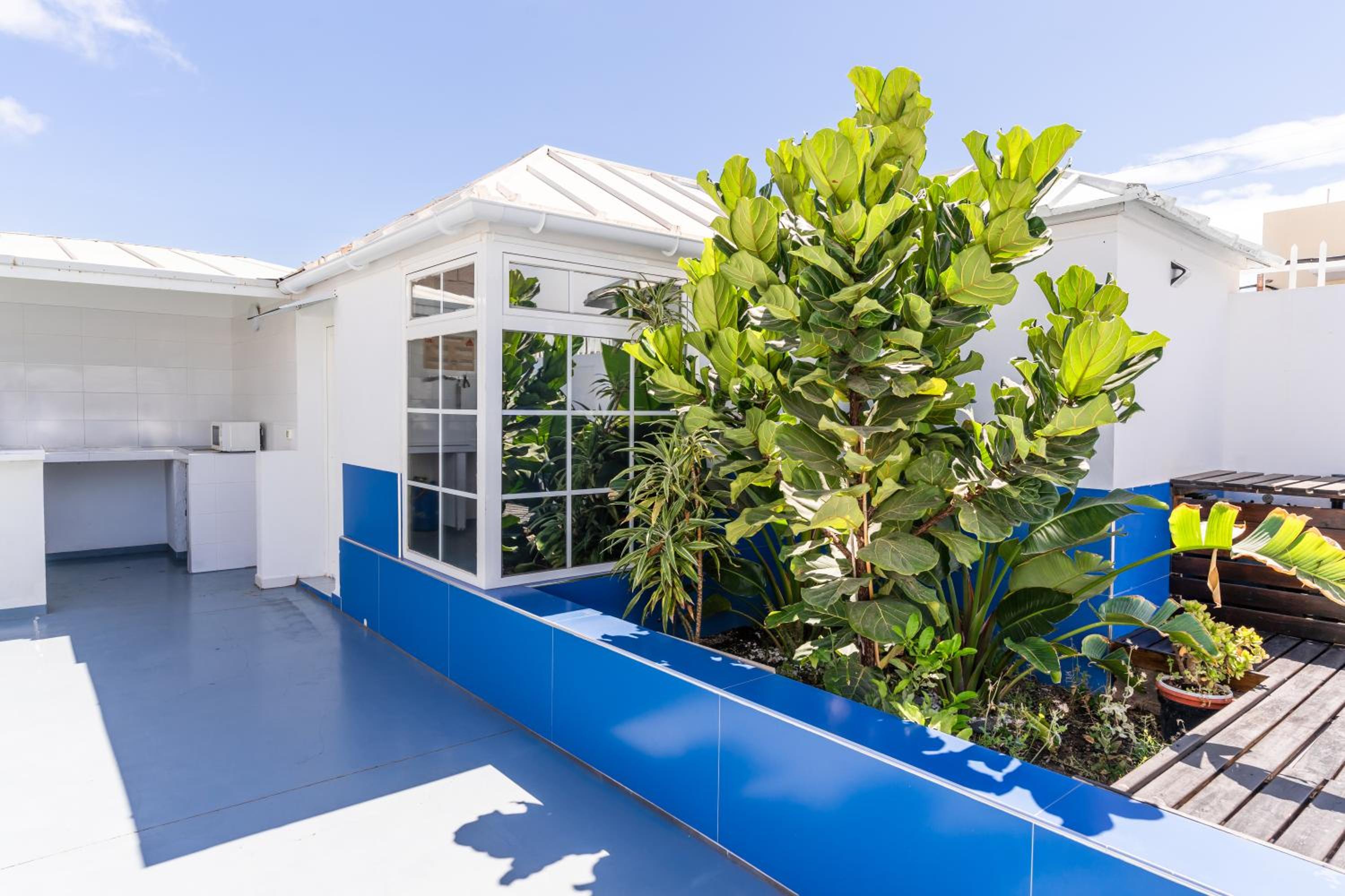 roof