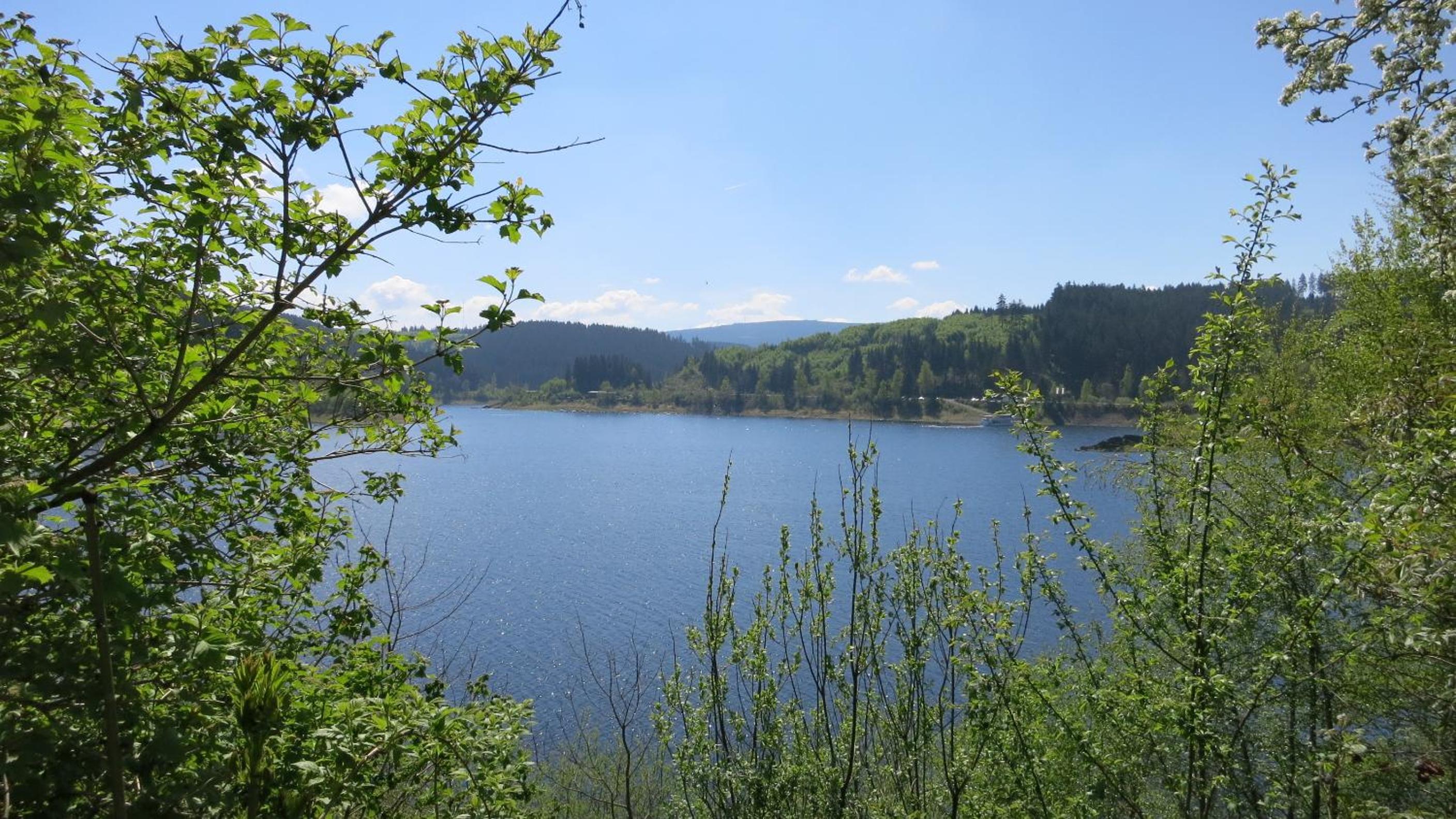 Ferienwohnung Harz