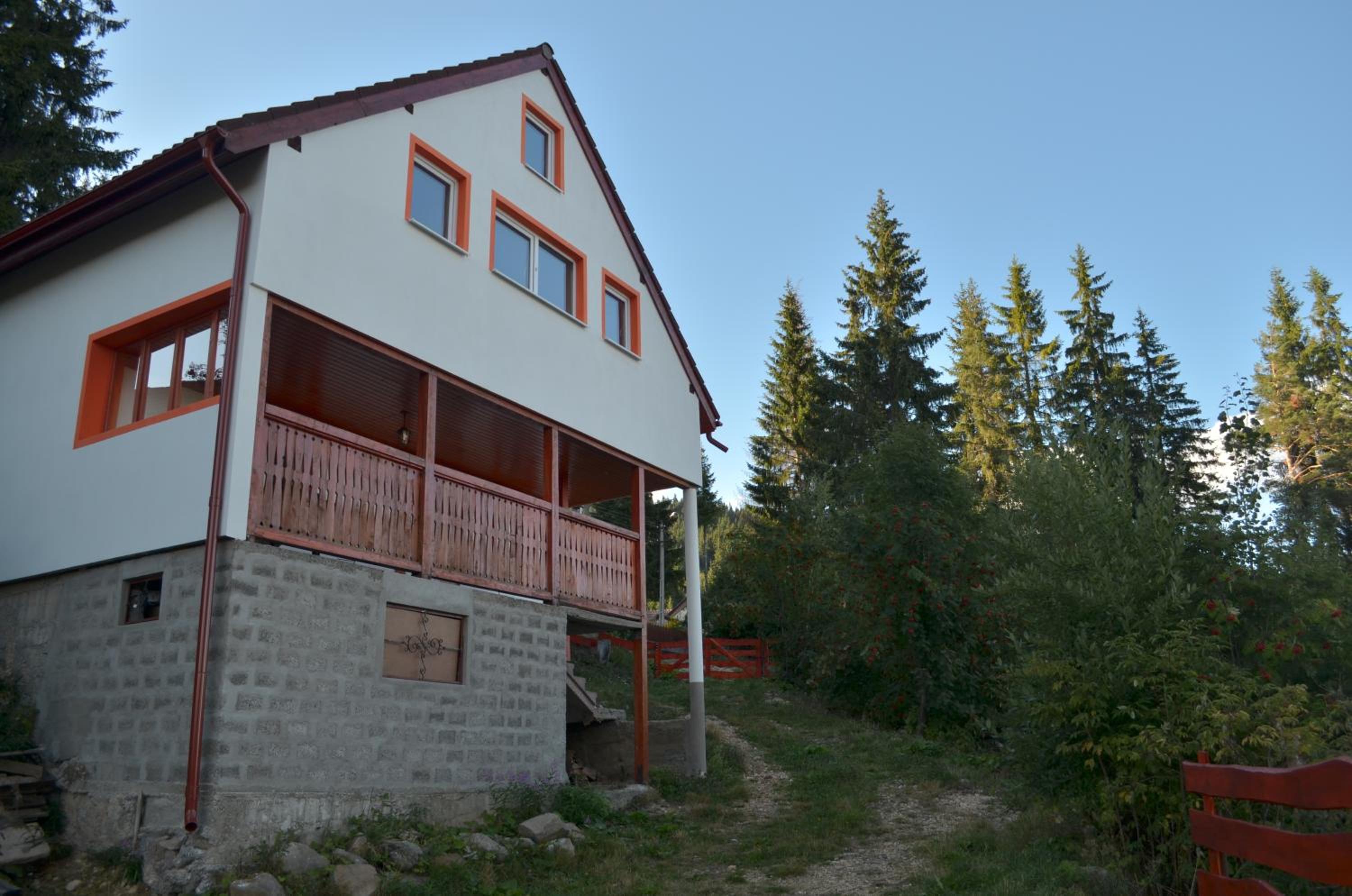 Photo 8