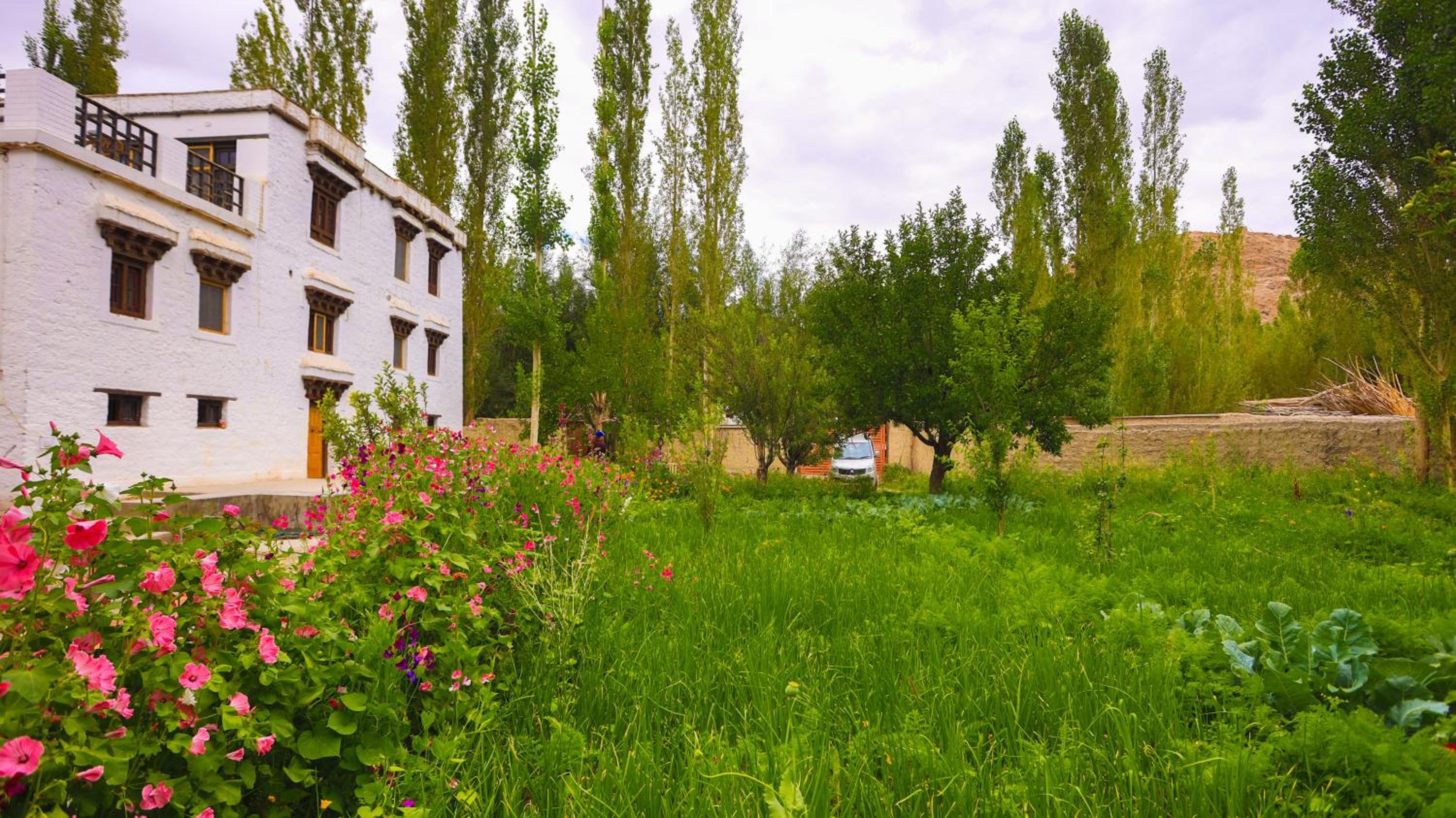 Photo 16