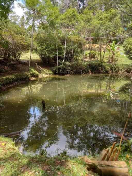 Sitio Humanaterra: natureza e acolhimento.