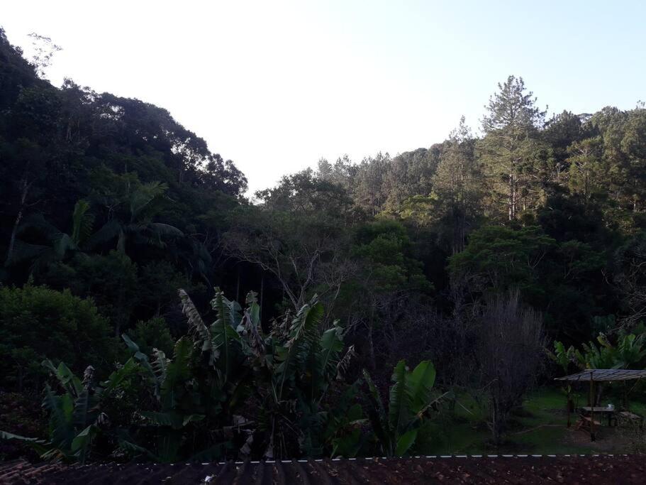 Sitio Humanaterra: natureza e acolhimento.