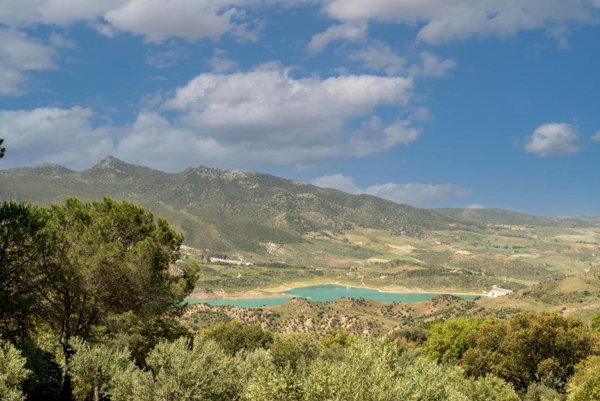 Arenosa by Vintage Travel