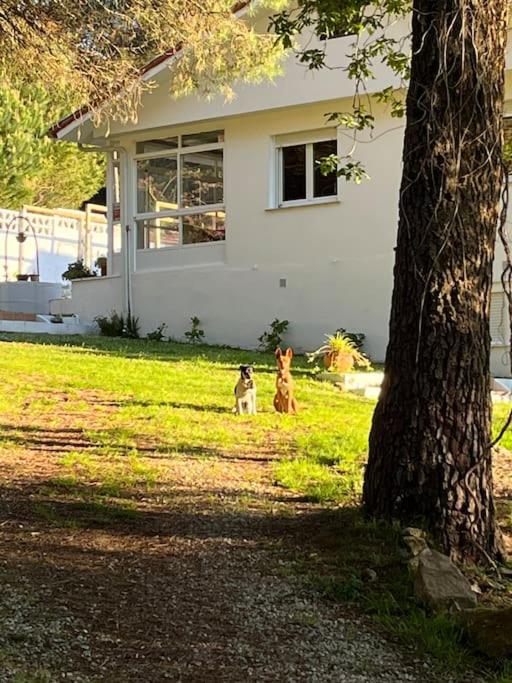 Casa O Remansiño