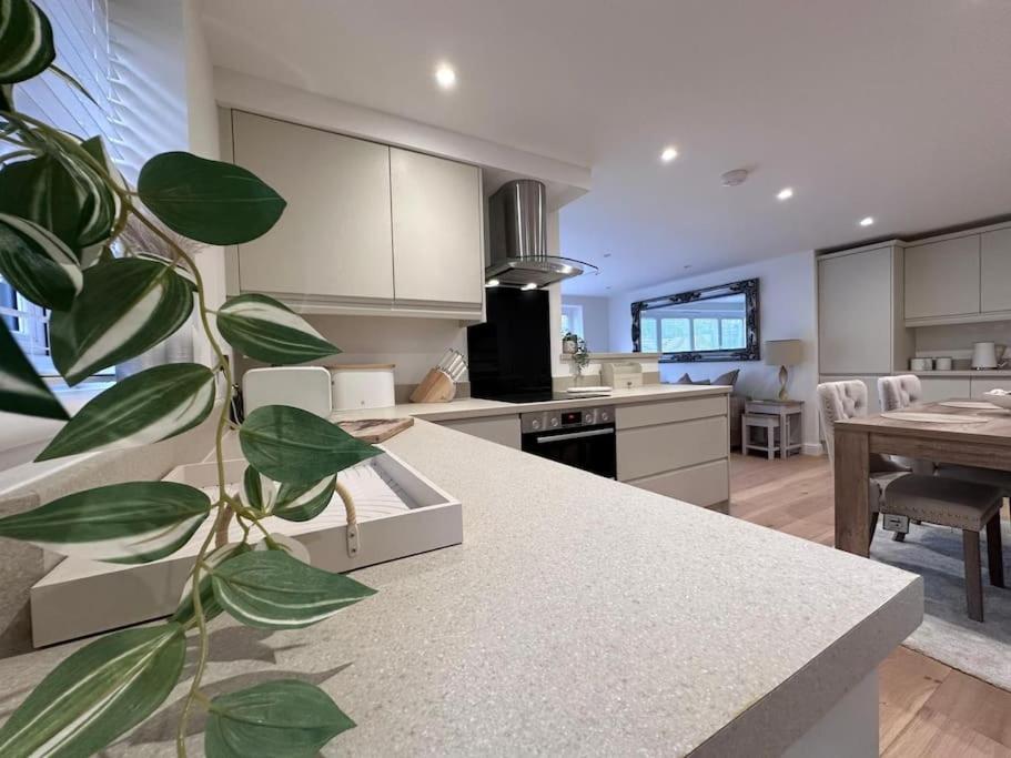 2bed Ground Floor flat + garden view 2