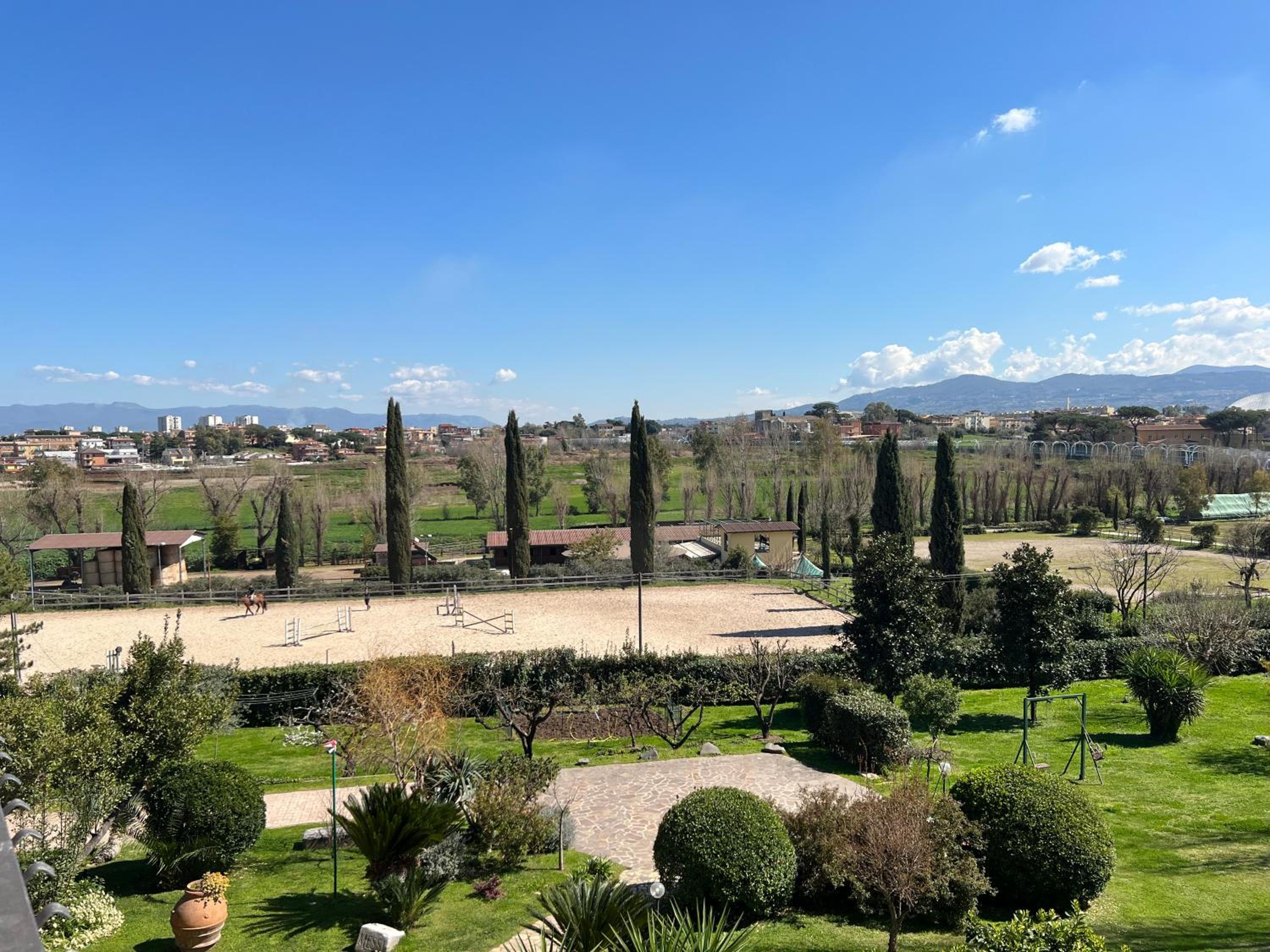 Torrenova 22