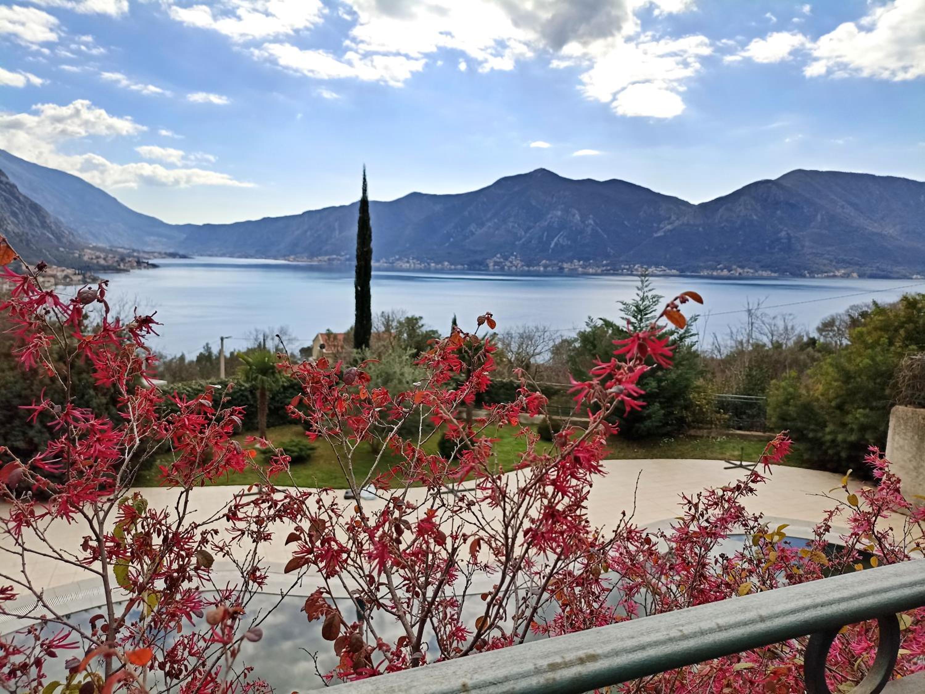 GREEN VILLAGE Apartment photo 3