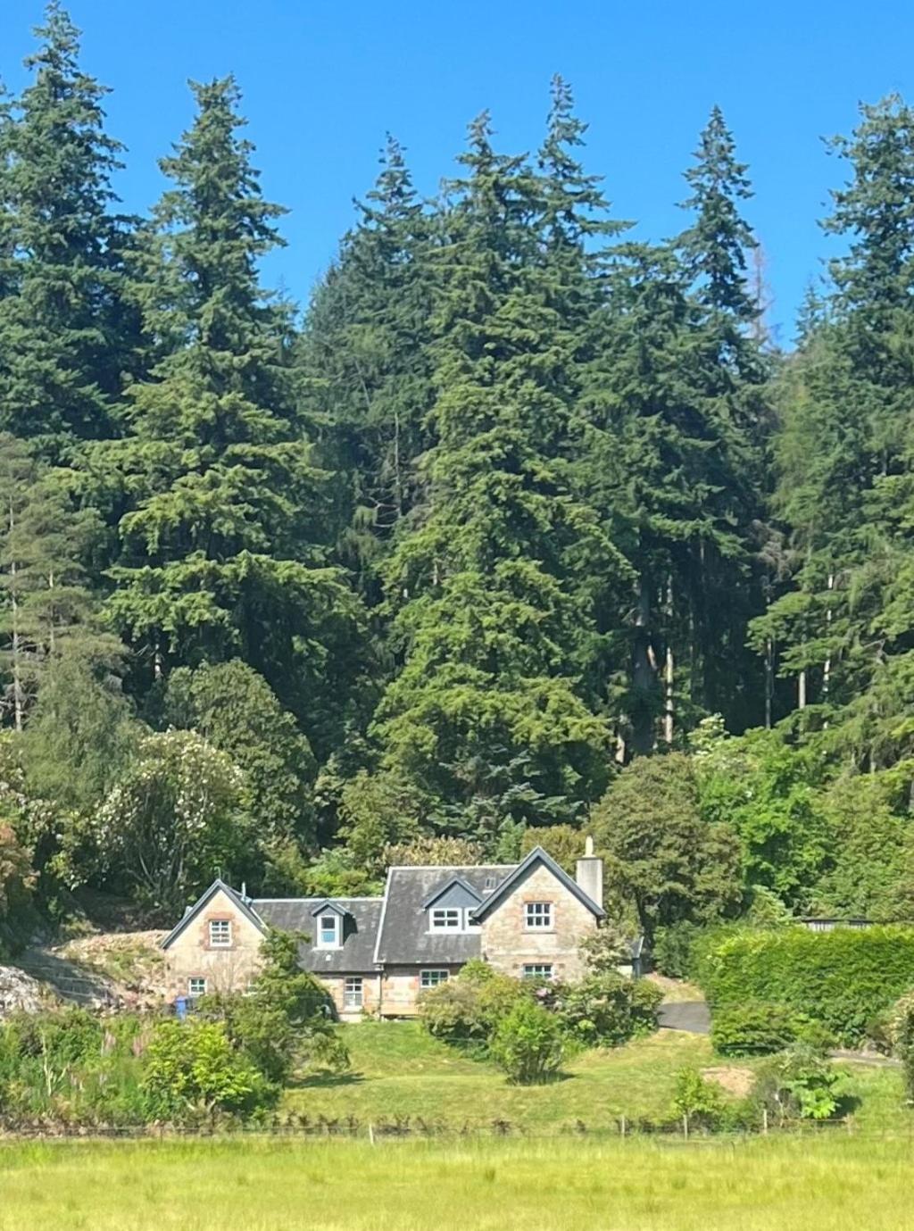 Eckford House