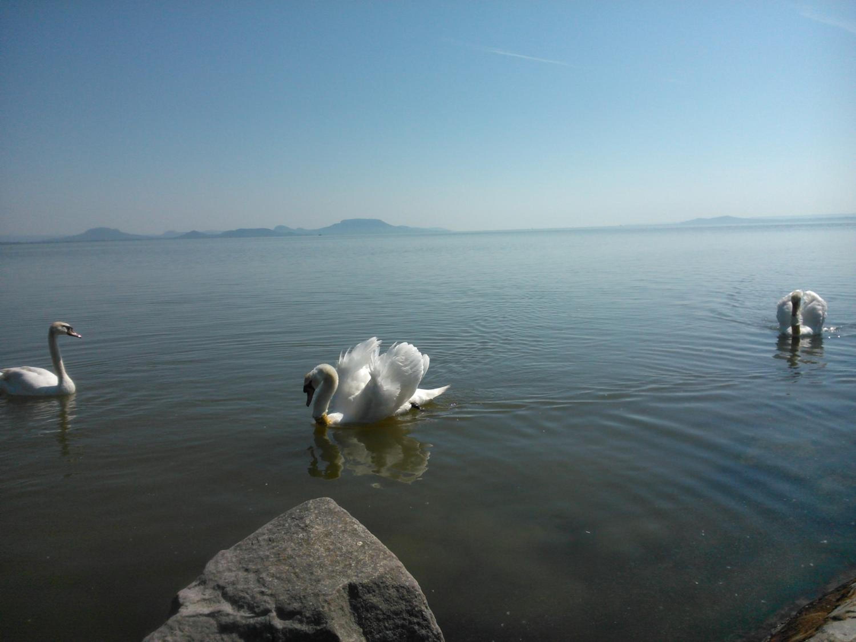 Photo 24