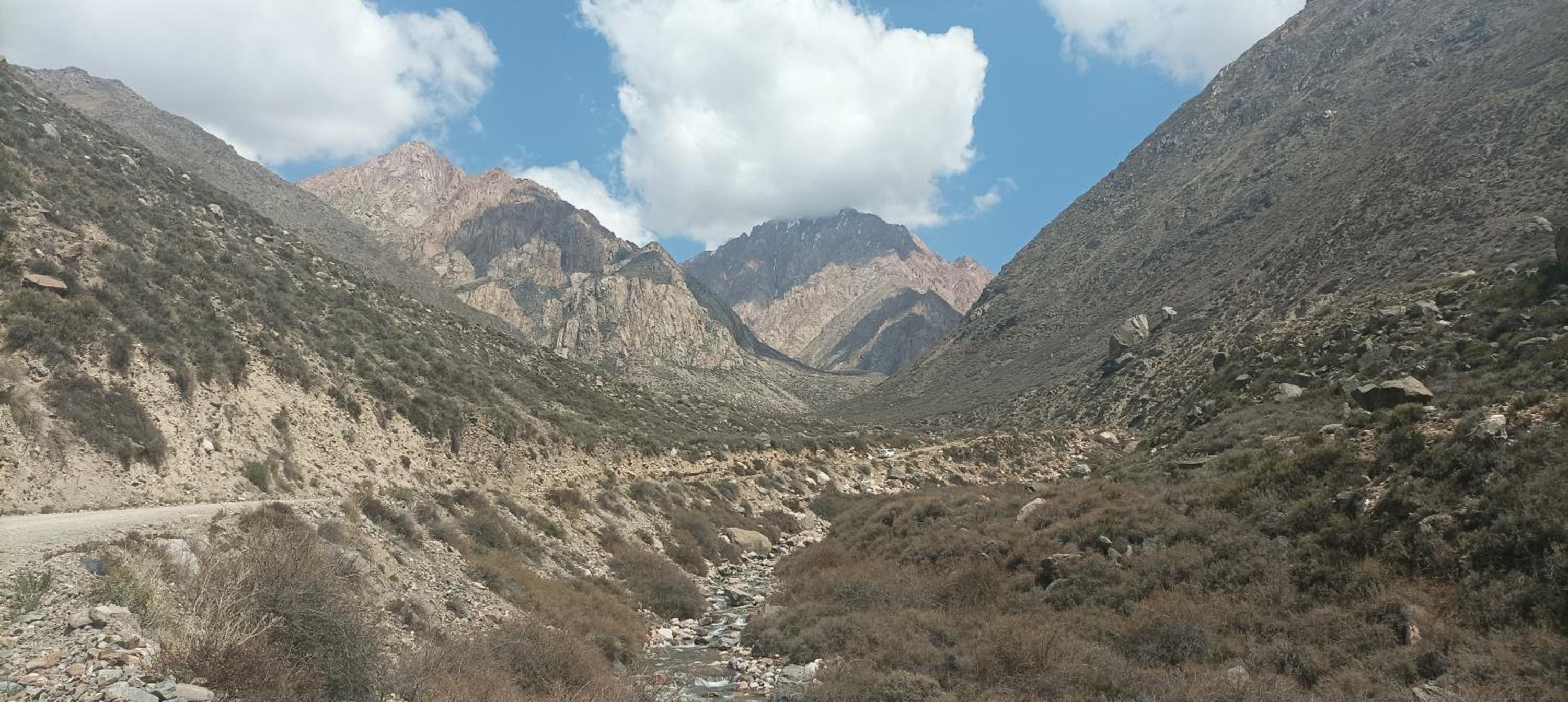 Cabañas Omelen Antü 1
