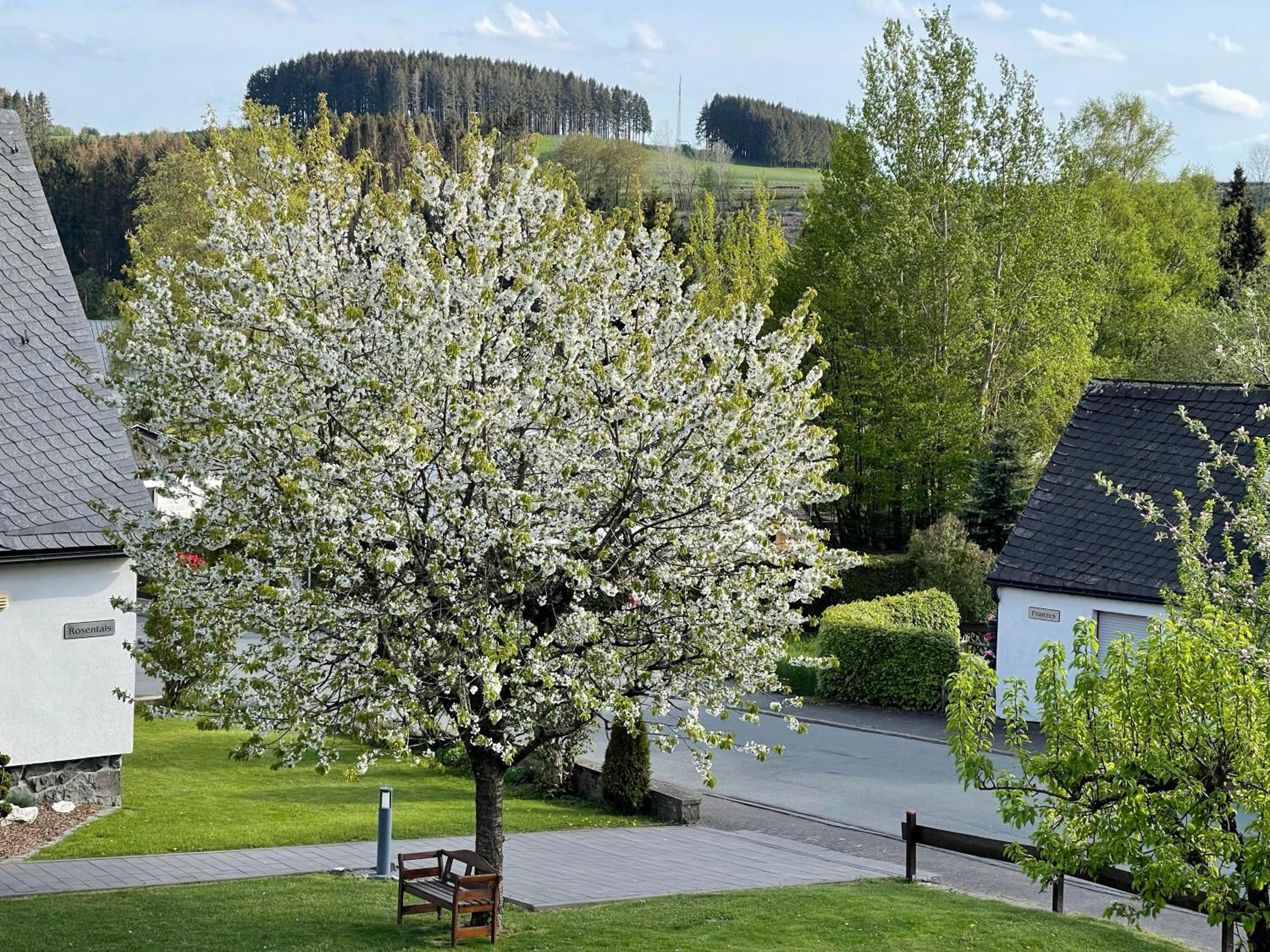 Pension Sonnenheim view 2