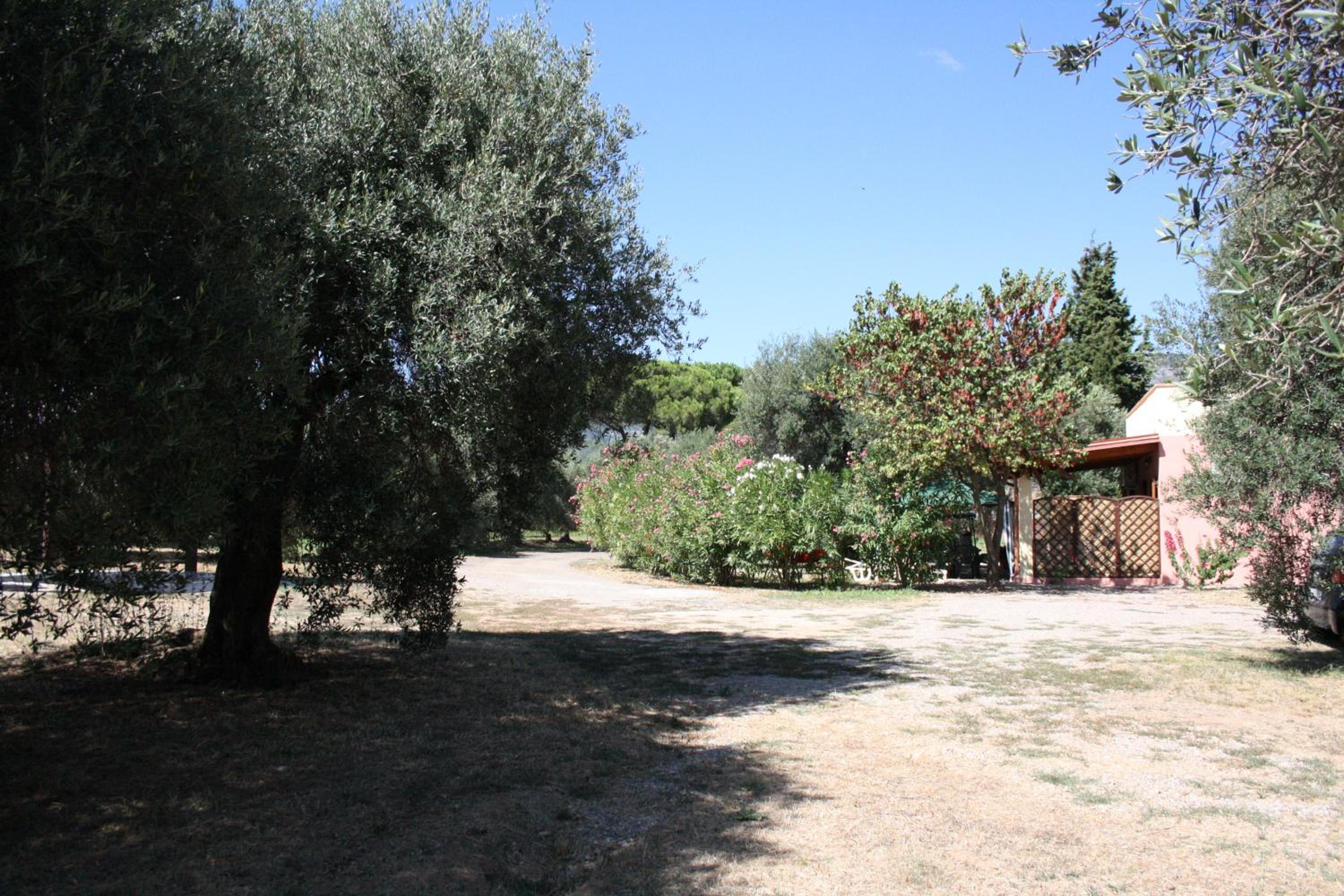 Casa L' Antico Ulivo view 5