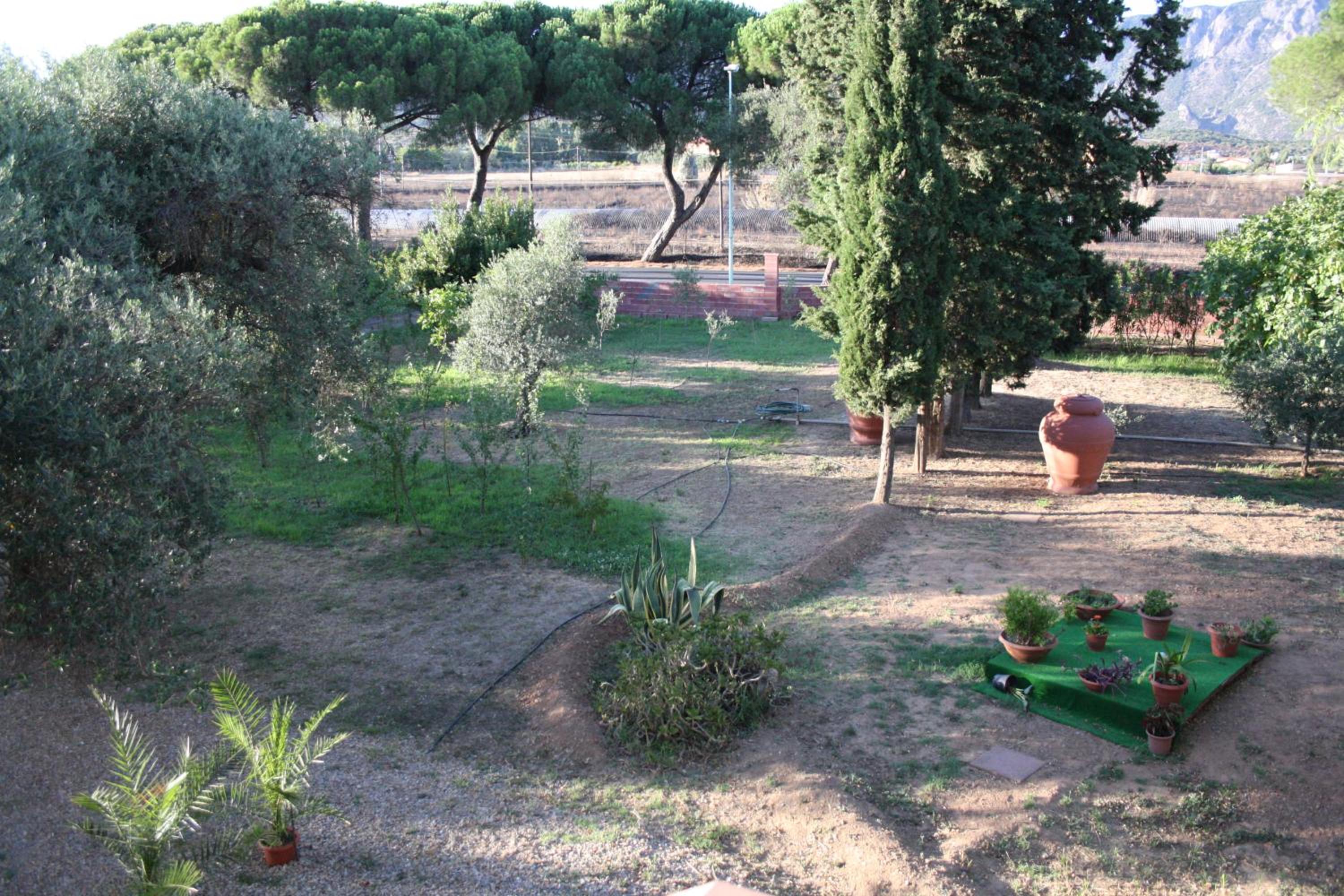 Photo 8