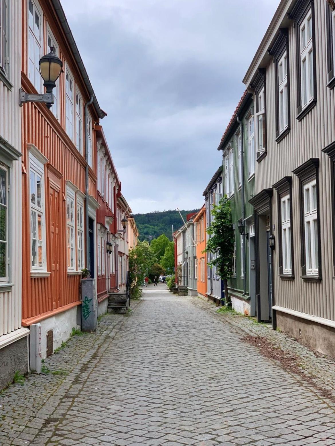 Cozy apartment in Trondheim City Centre, perfect for the World Ski Championships view 2