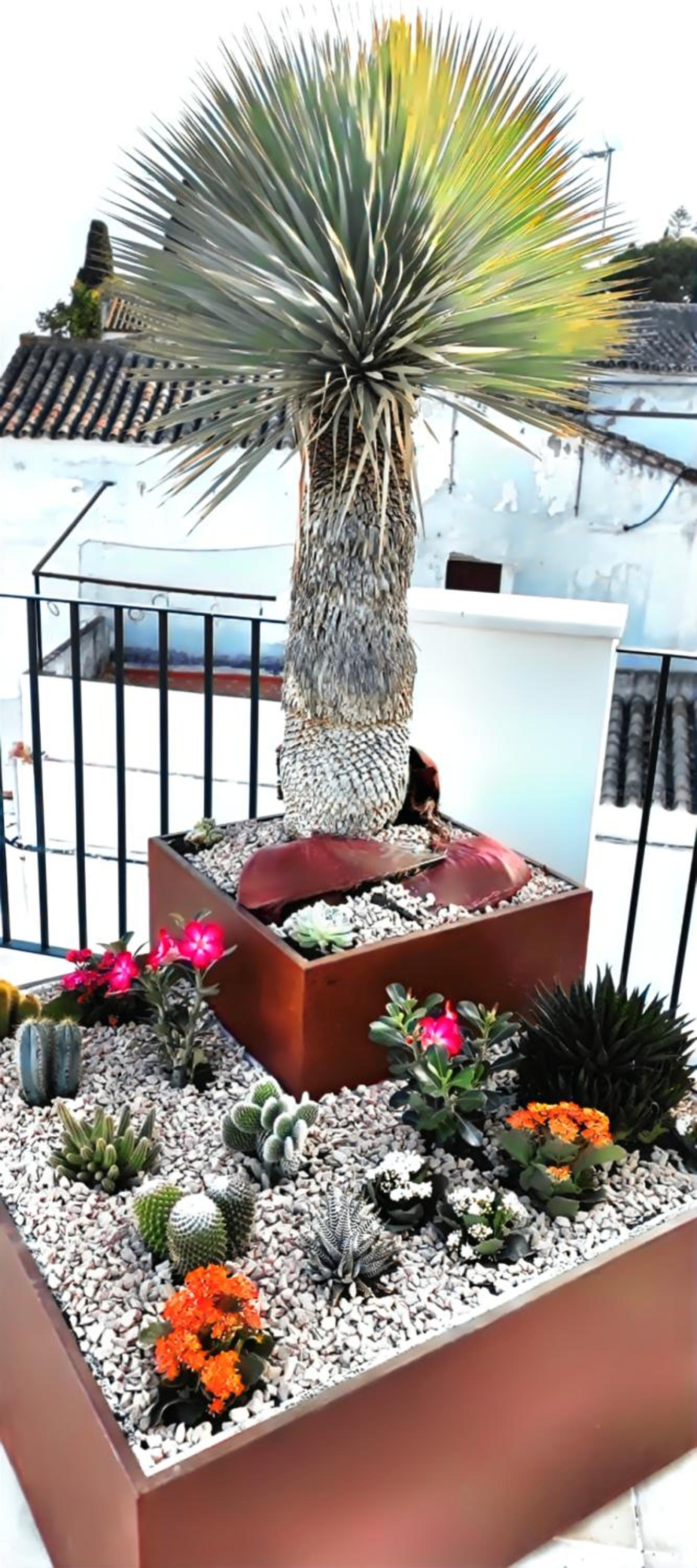 Palacio el Duende-Parking privado-terraza Vista Catedral old town