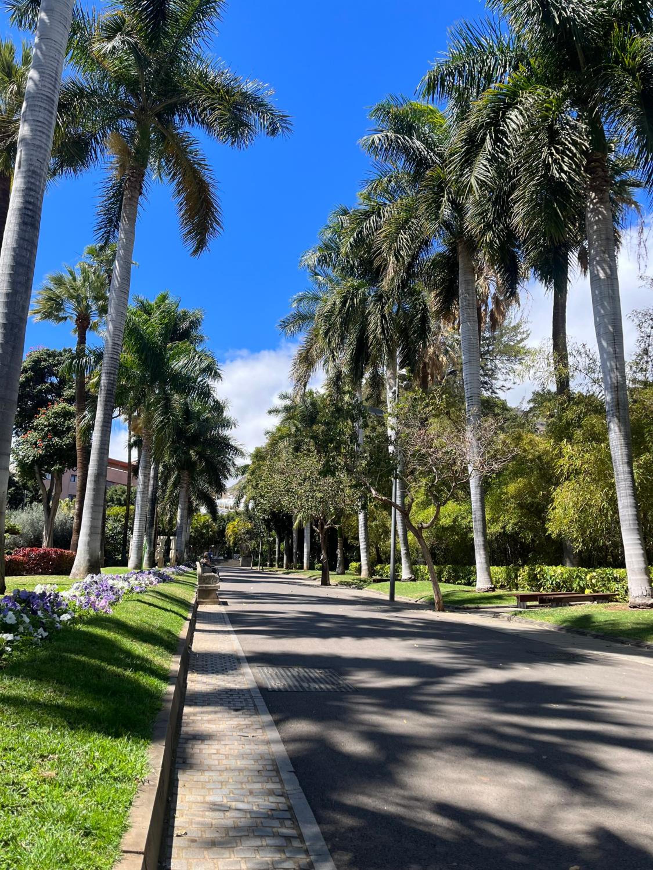 Santo Domingo