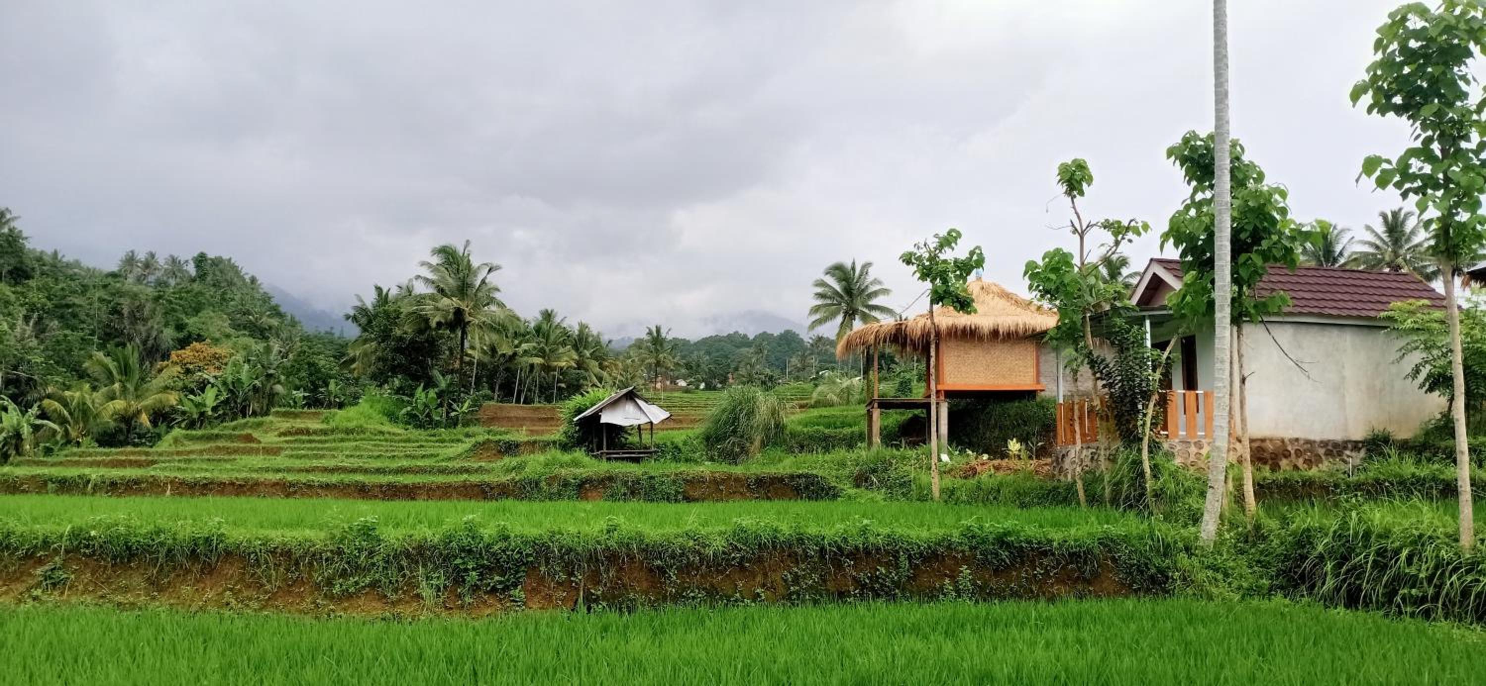 Bayan Exotic Homestay
