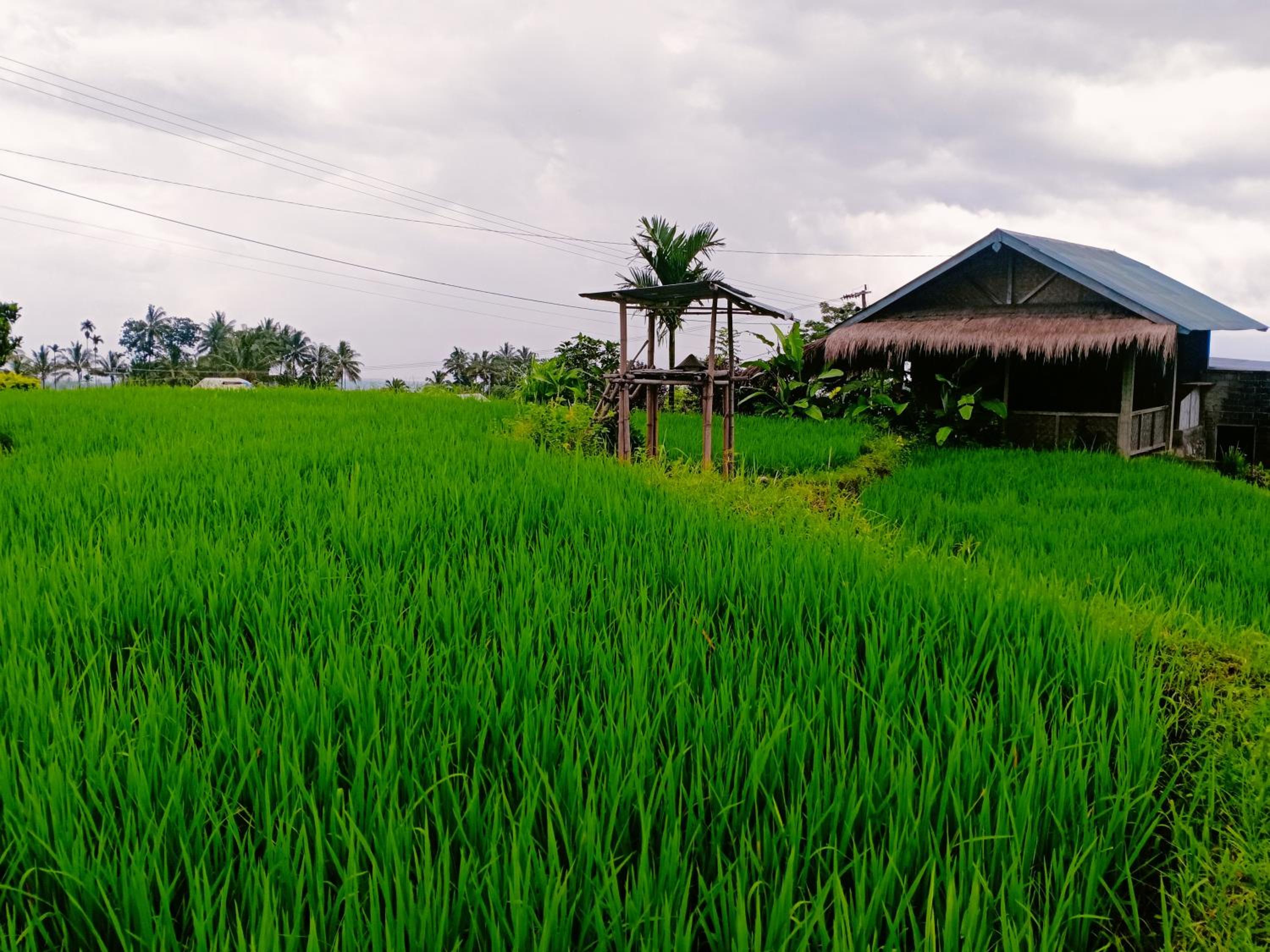 Bayan Exotic Homestay
