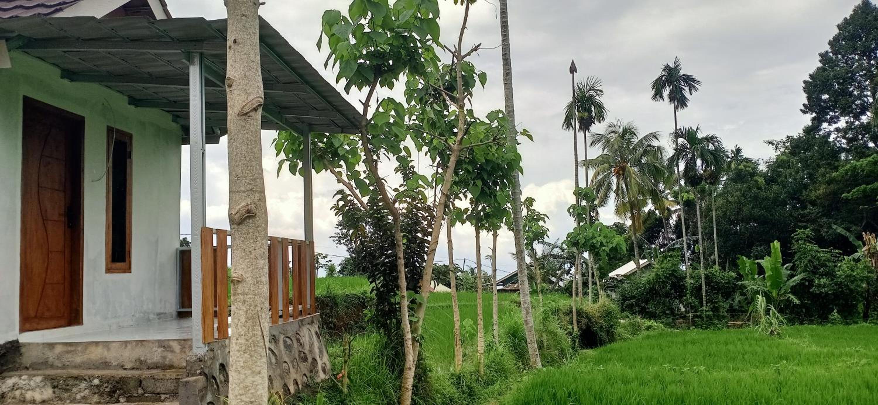 Bayan Exotic Homestay