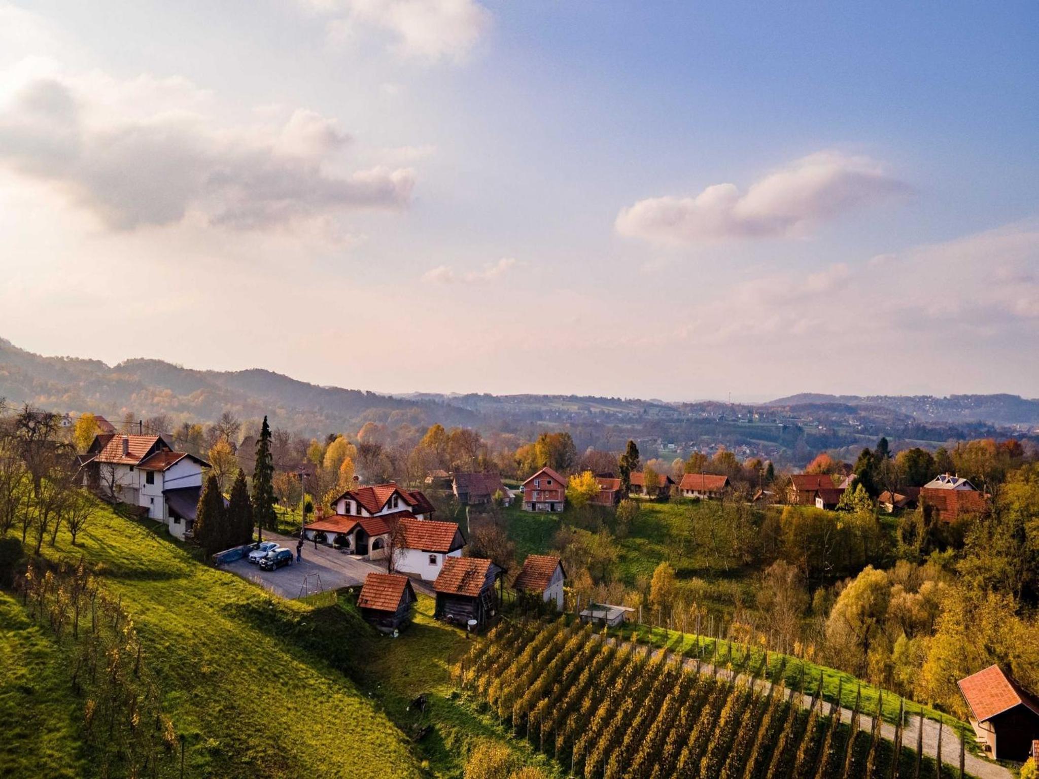 San Vinogradara
