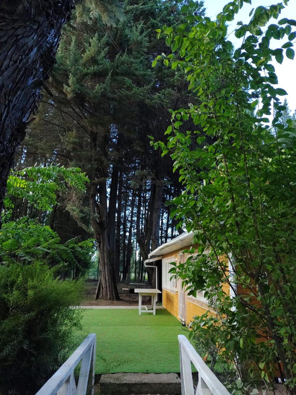 Mi refugio arbolado