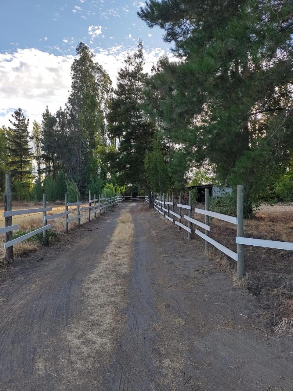 Mi refugio arbolado
