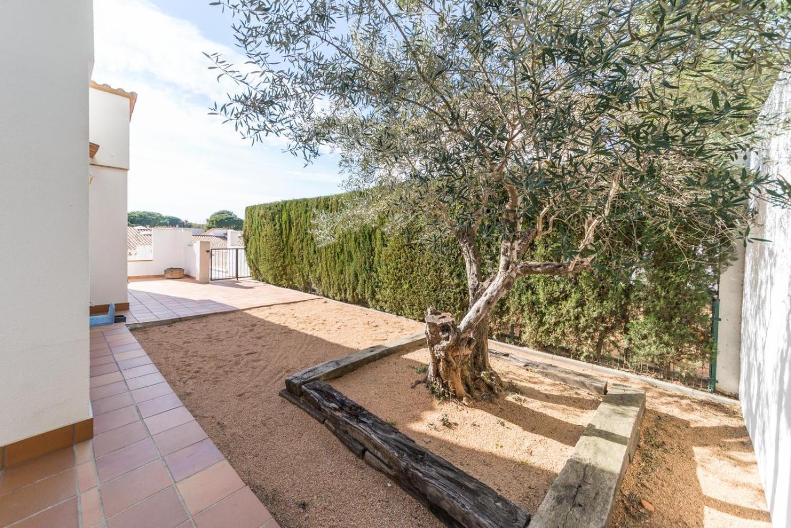 Villa Olalla photo 4