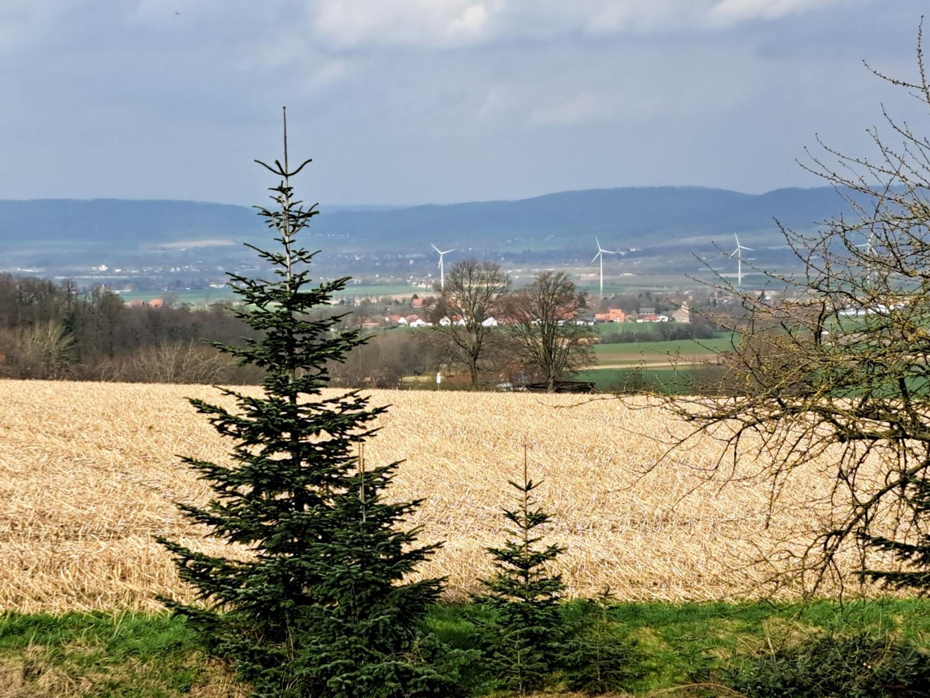 other