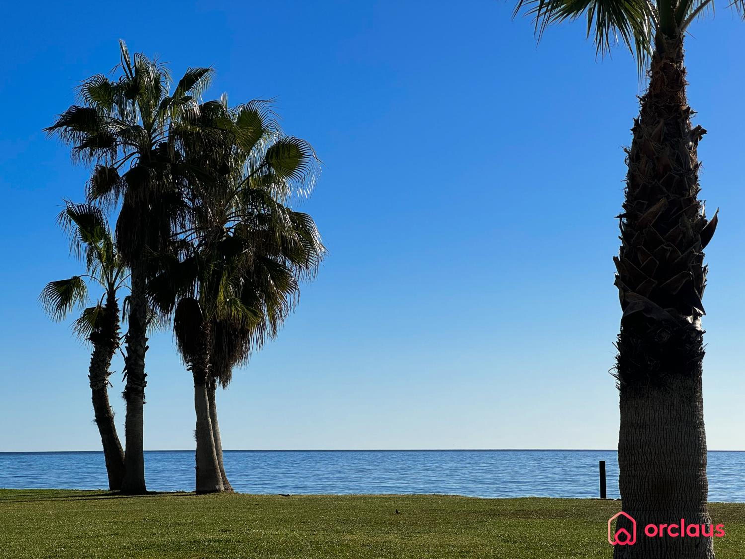 Mar y Monte view 3