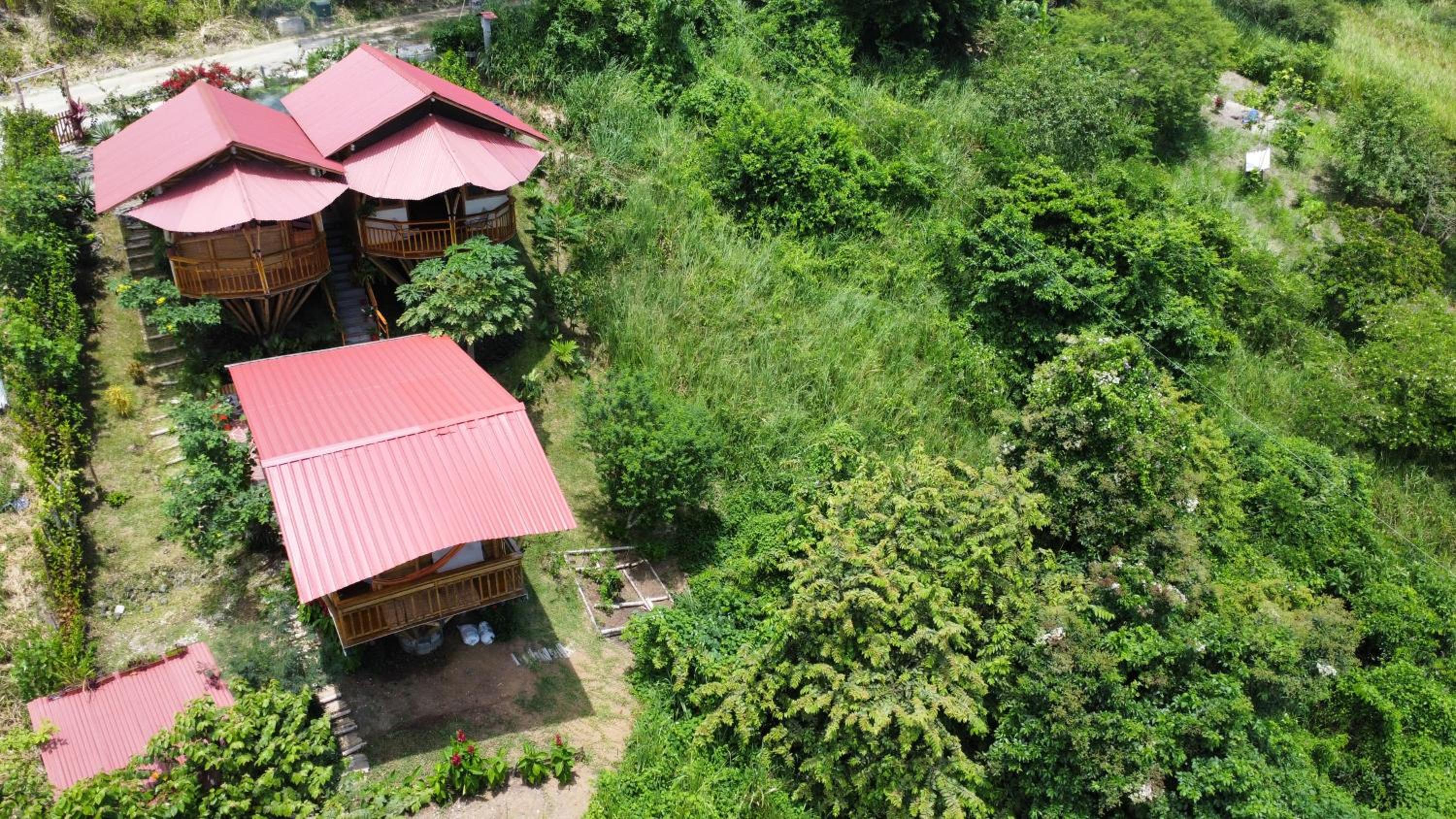Bungalows Ayampe